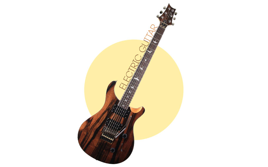 گیتار الکتریک PRS SE Custom 24 Floyd Ebony Ltd. Edition