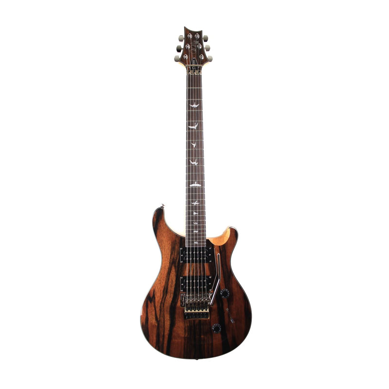 قیمت خرید فروش گیتار الکتریک پی آر اس PRS SE Custom 24 Floyd Ebony Ltd. Edition