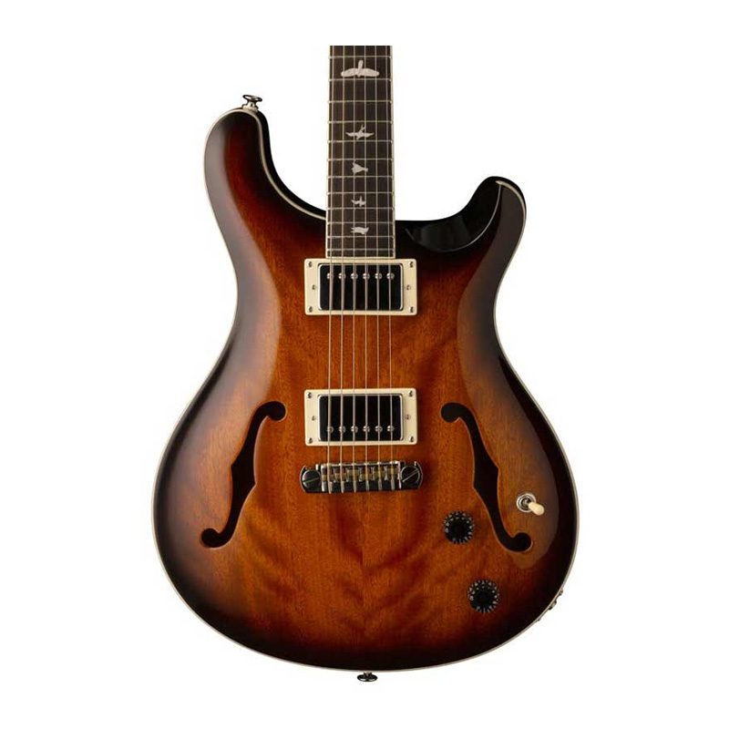 گیتار الکتریک پی آر اس PRS SE Hollowbody Standard McCarty TSB