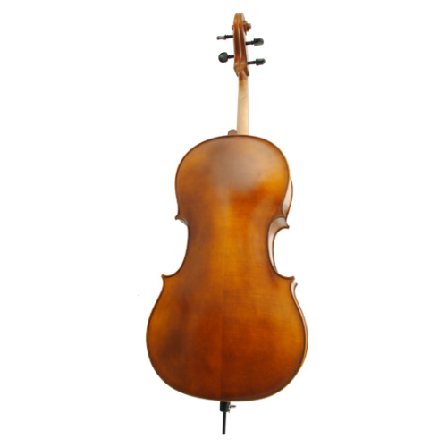 ویولن | ویولون سل رودریچ Roderich Paesold PA601E