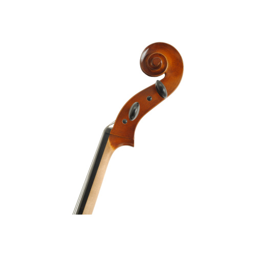 ویولن | ویولون سل رودریچ Roderich Paesold PA601E