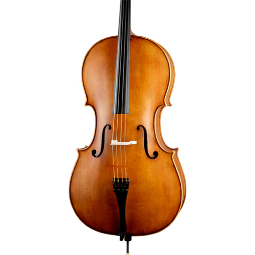ویولن | ویولون سل رودریچ Roderich Paesold PA602C