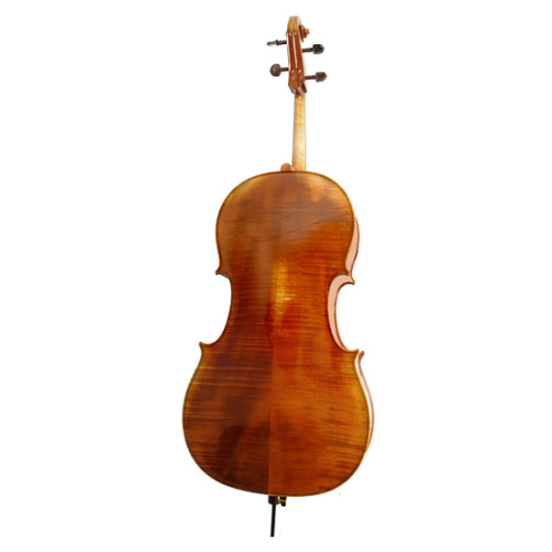 ویولن | ویولون سل رودریچ Roderich Paesold PA603E