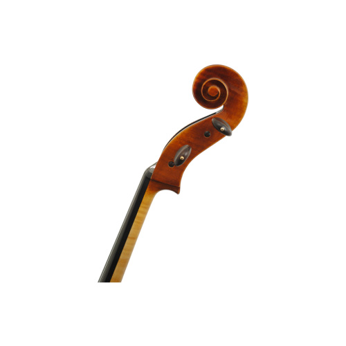 ویولن | ویولون سل رودریچ Roderich Paesold PA603E