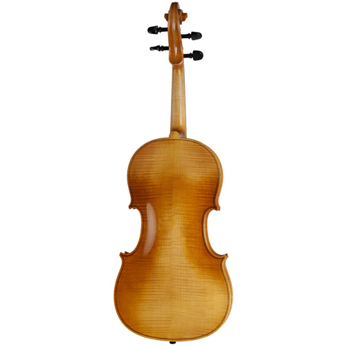 ویولا رودریچ Roderich Paesold PA702