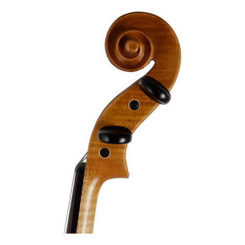ویولا رودریچ Roderich Paesold PA702
