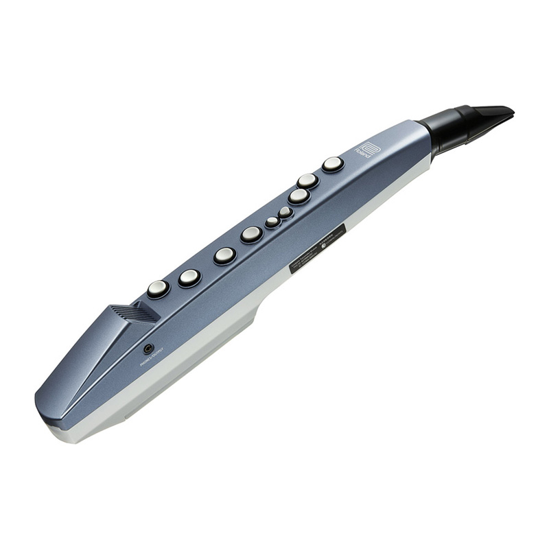 قیمت خرید فروش ساز دهنی رولند Roland AE 01 Aerophone Mini