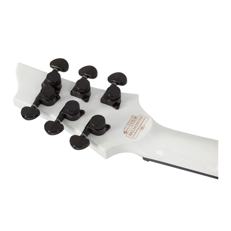 گیتار الکتریک شکتر Schecter C 1 Ink Bomb