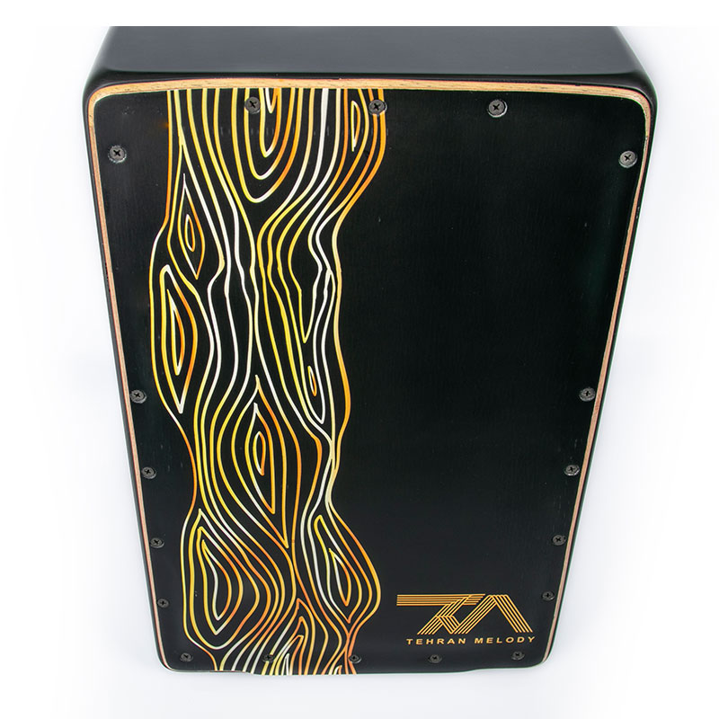 کاخن تی ام گروپ TM Group Cajon 001