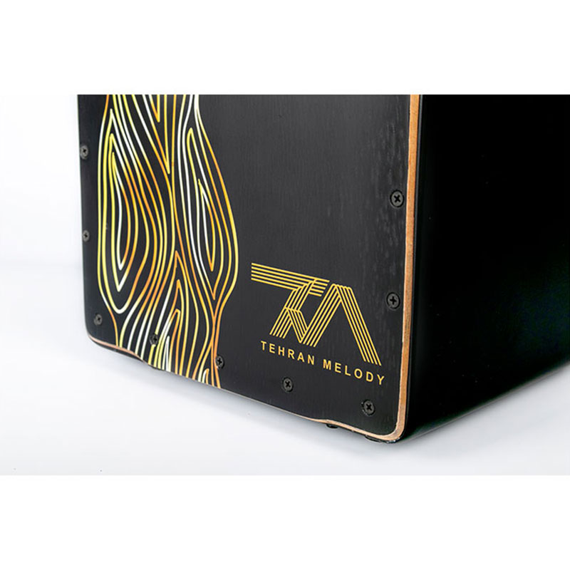 کاخن تی ام گروپ TM Group Cajon 001