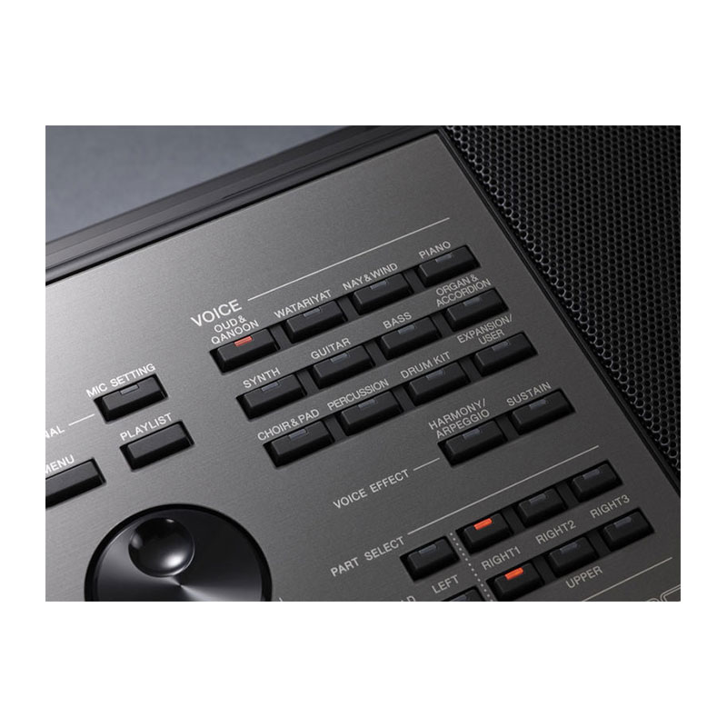 کیبورد ارنجر موسیقی یاماها Yamaha PSR-A5000